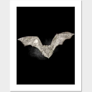 Bat Posters and Art